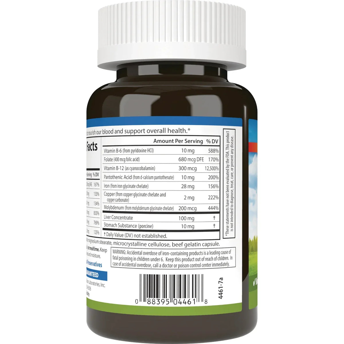 Blood Nutrients