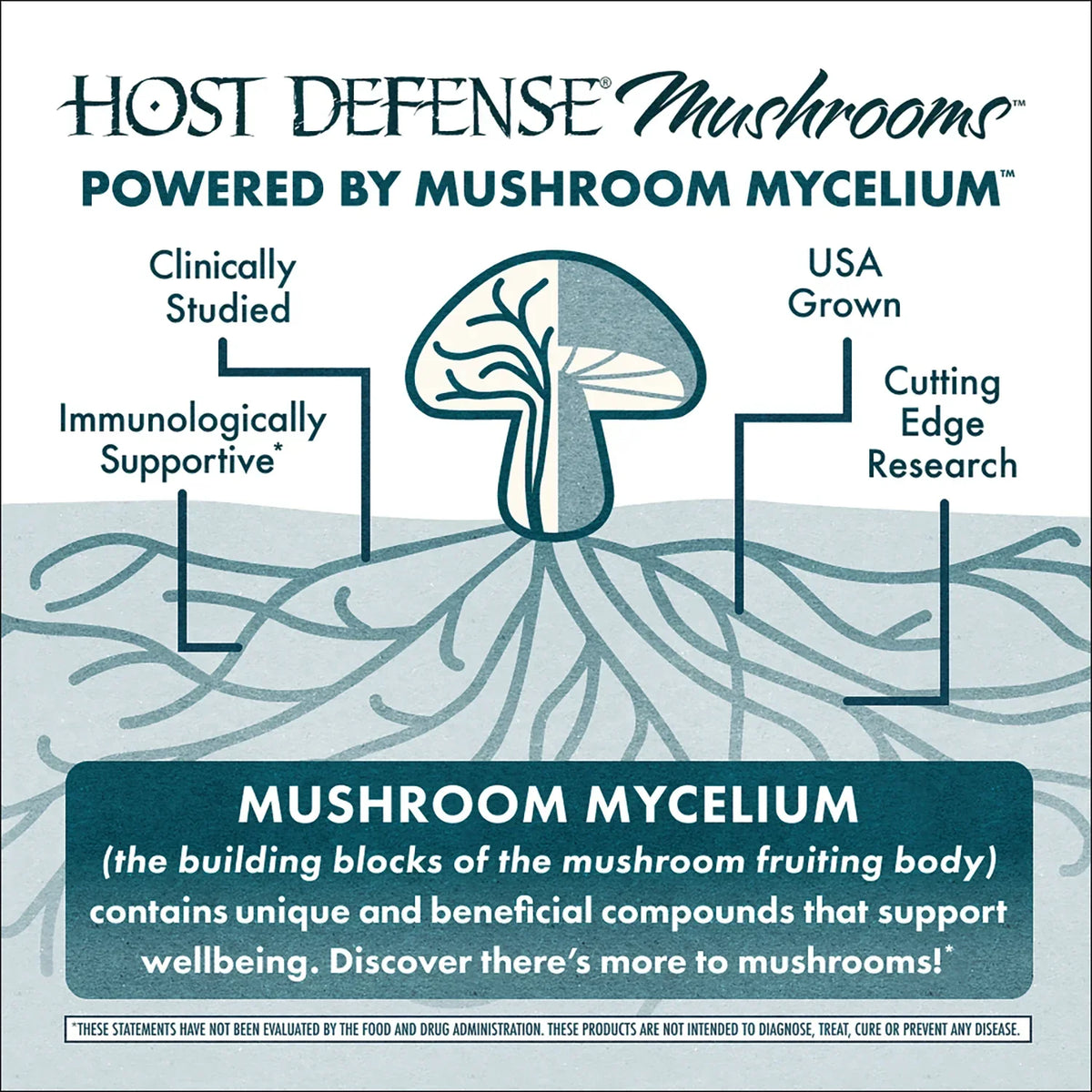 CordyChi