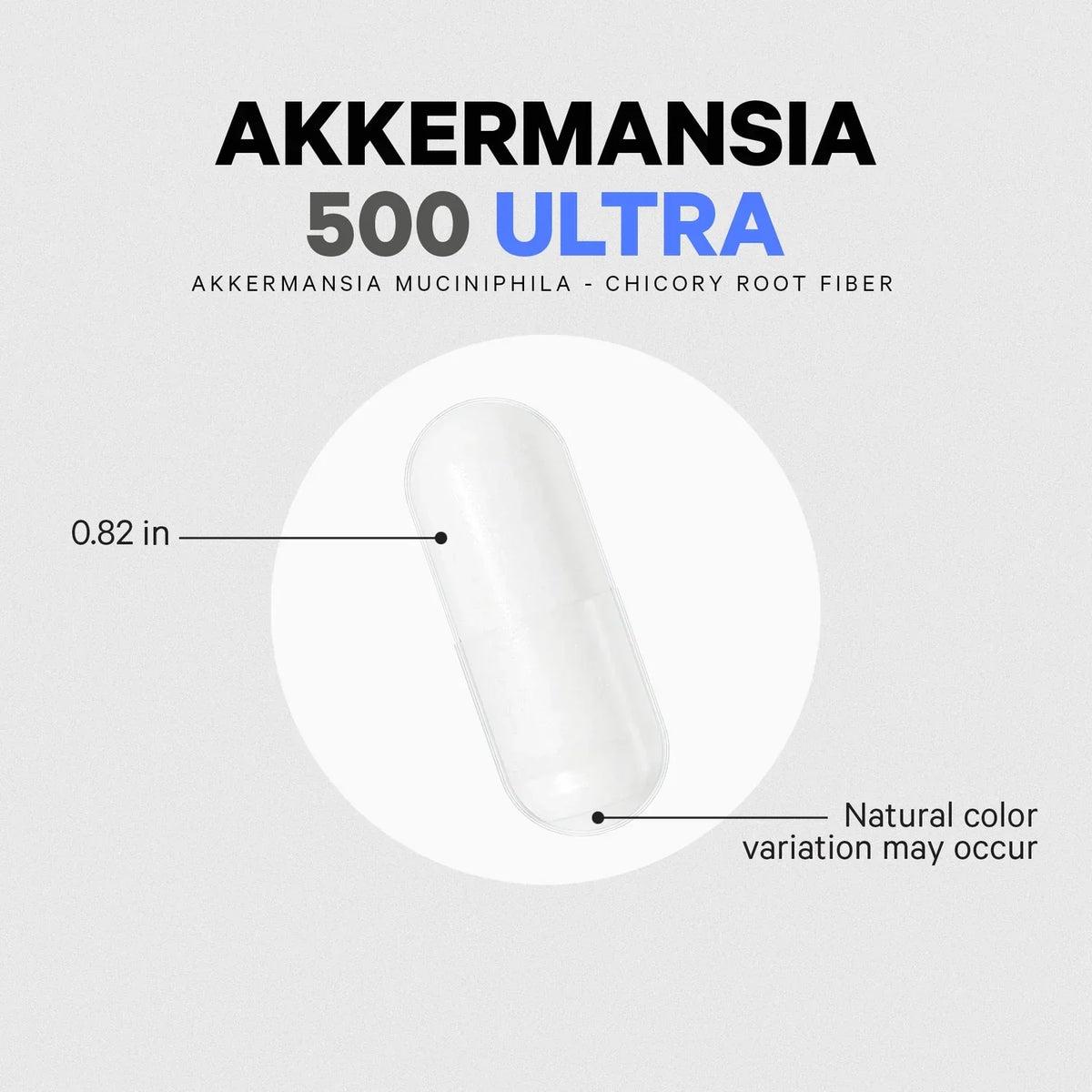 Akkermansia 500 Ultra Probiotic & Prebiotic