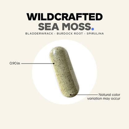 Sea Moss Wildcrafted