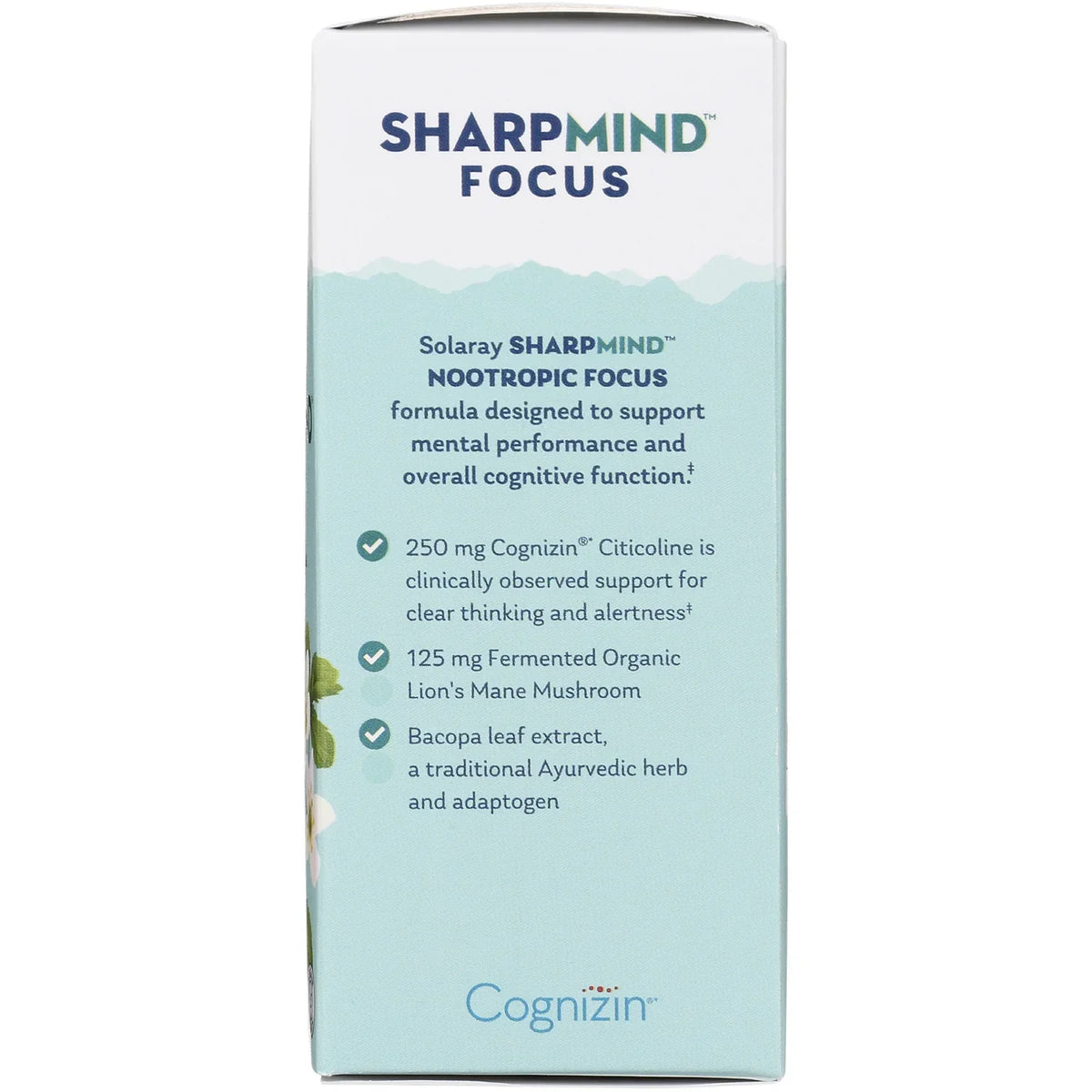 SharpMind Focus