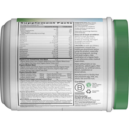Raw Organic Perfect Food Alkalizer & Detoxifier -Lemon Ginger