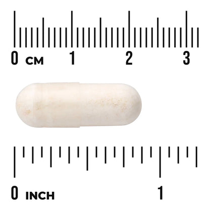 Ultra Probiotic Complex