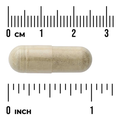 Olive Leaf Extract - Extra Strength