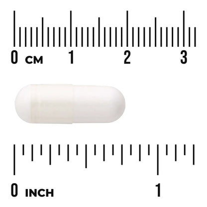 7-Keto DHEA