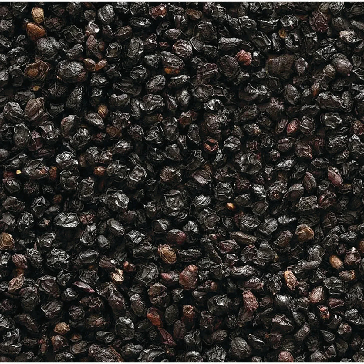 Whole European Elderberries