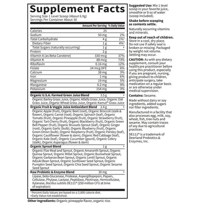 Raw Organic Perfect Food Green Superfood - Original
