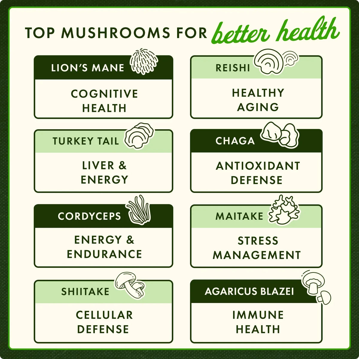 BioDefense NK+ - Mushroom Blend
