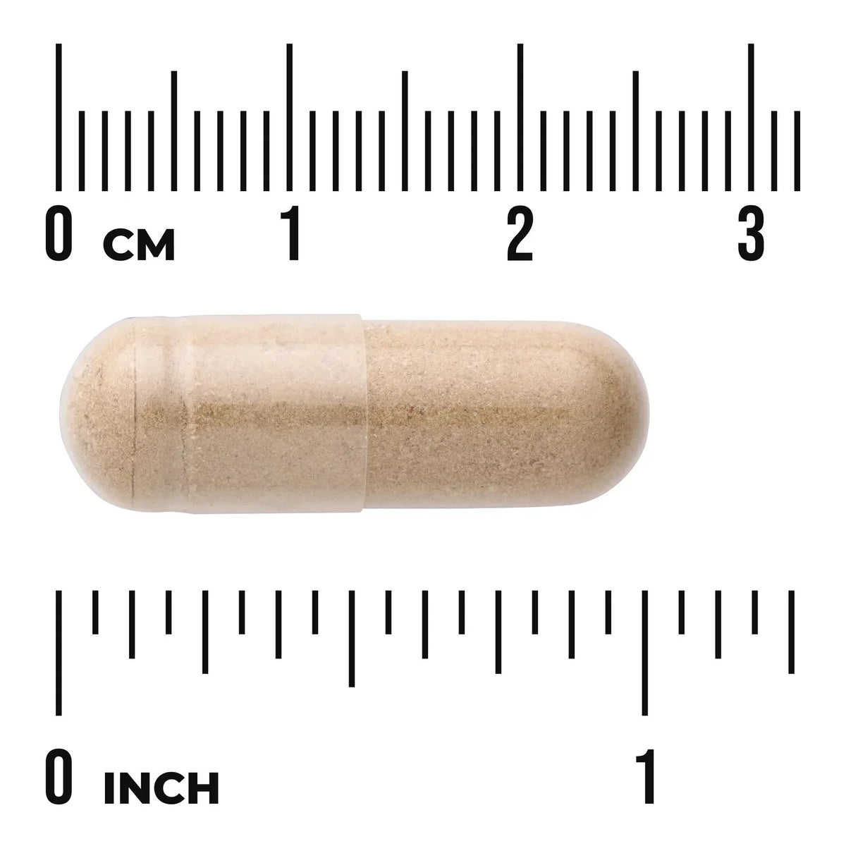 Butcher's Broom Extract - Standardized