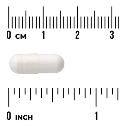 Alpha Lipoic Acid
